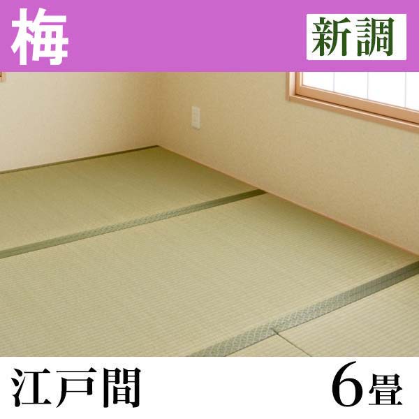 畳新調　「梅」(6畳-江戸間)