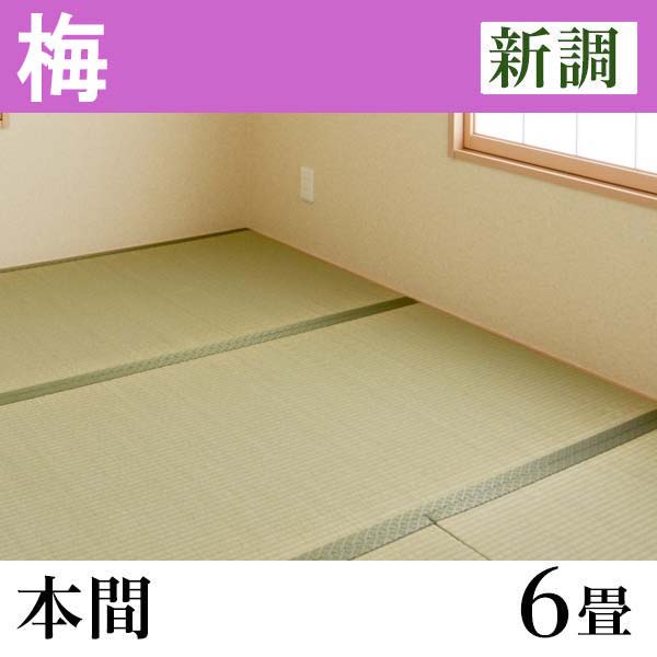 畳新調　「梅」(6畳-本間)