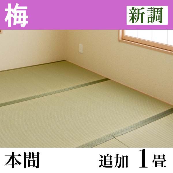 畳新調　「梅」(追加1畳-本間)