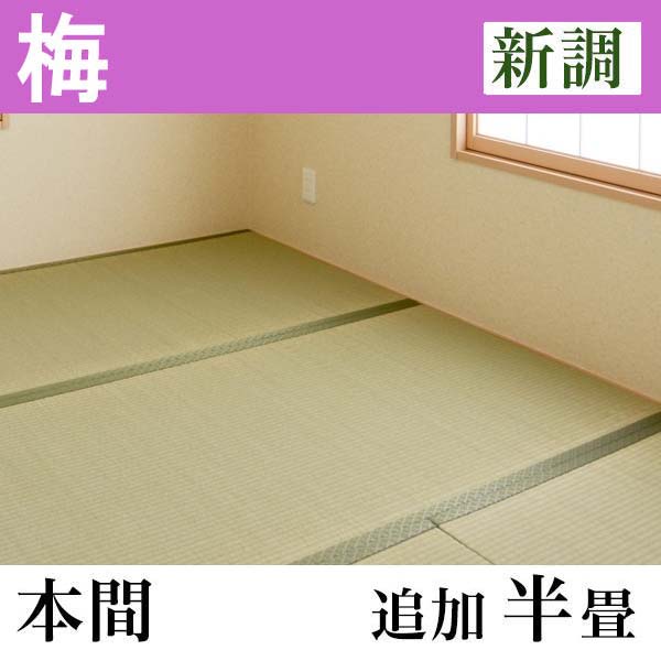 畳新調　「梅」(追加半畳-本間)