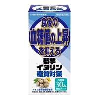 (従業員販売) 菊芋 イヌリン 糖質対策 30包 サンヘルス 【機能性表示食品】(2.5g×30包)