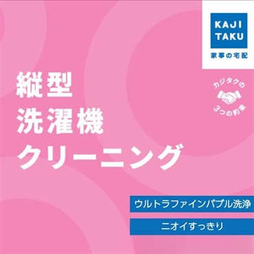 縦型洗濯機クリーニング