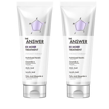 THE ANSWER EX モイストトリートメント FOR DAILY DAMAGE 220g  × 2個セット　花王　ジアンサー