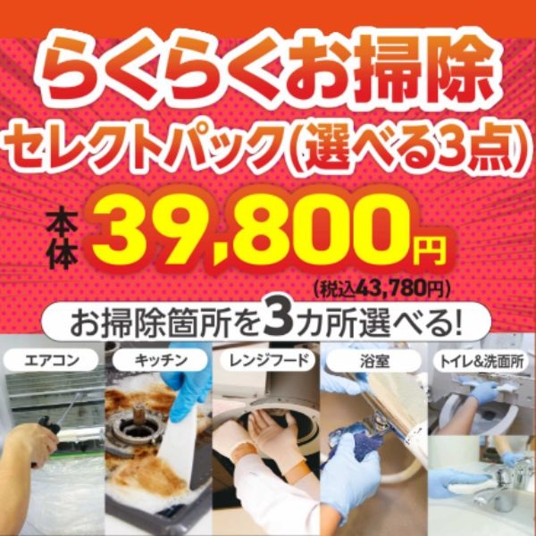 アネ 〜3日お取り置き らくらくお掃除セレクトパック 3点 | イオンスタイルオンライン 衣料品