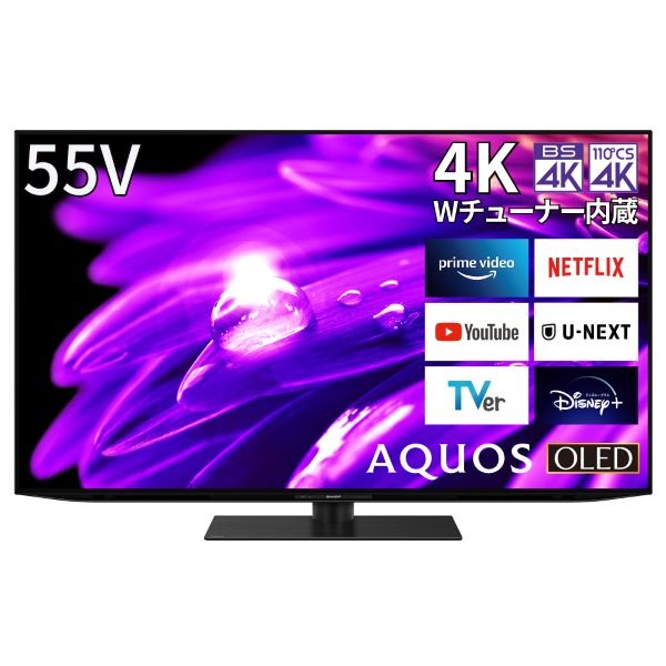 シャープ　55v型4K 有機ELテレビ　AQUOS　4TC55ES1【標準配送料2000円＋標準設置料6000円（あり・なし）別途】(4TC55ES1)