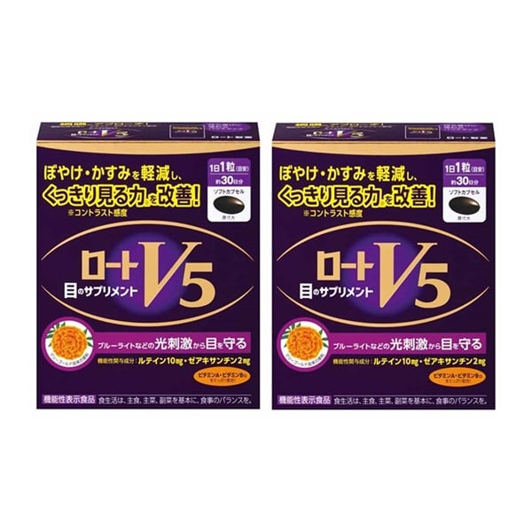 (従業員販売) ロートV5 30粒 まとめて2個 ロート製薬(30粒×2個)