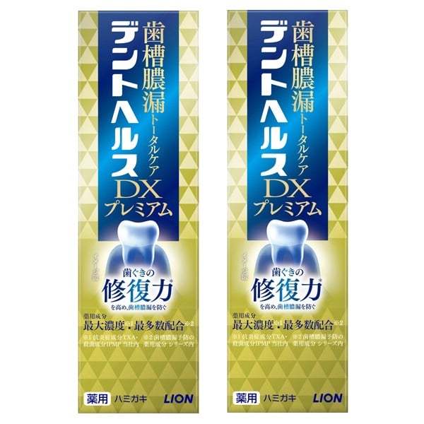 (従業員販売)デントヘルス 薬用ハミガキ DX プレミアム 90g ×2個ライオン 【医薬部外品】(90g×2個)