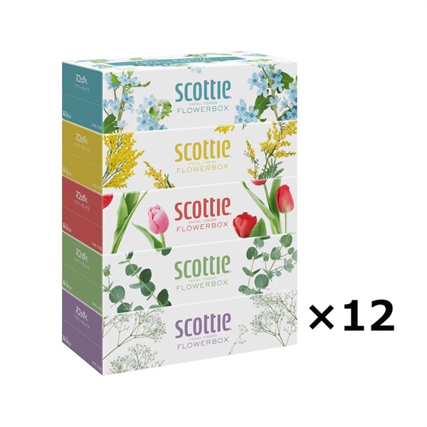 (従業員販売) スコッティ ティシュー フラワーボックス ケース 250組×5箱×12個 scottie 日本製紙クレシア(250組×5箱×12個)
