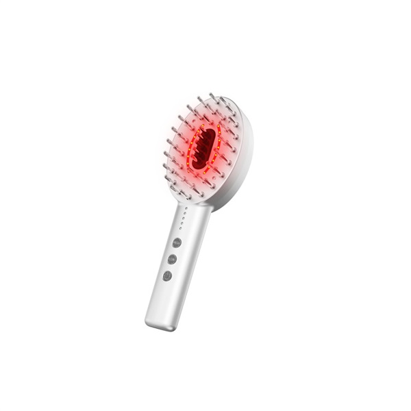(ご予約商品)EMSリフトブラシ NP-ELB23SV NIPLUX(NP-ELB23SV)