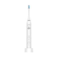 (ご予約商品)リニア音波電動歯ブラシ CTL-660(CTL-660)
