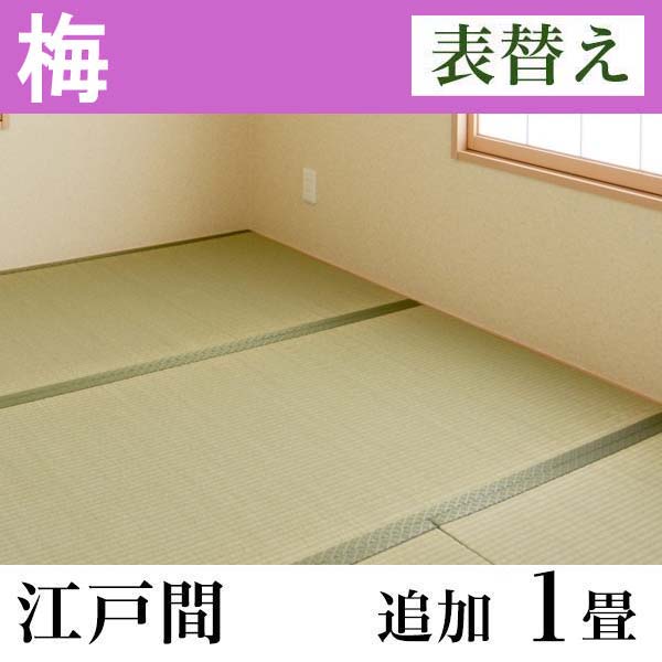 イケヒコ・コーポレーション　国産い草畳「梅」　表替え　(追加1畳-五八間（江戸間）)