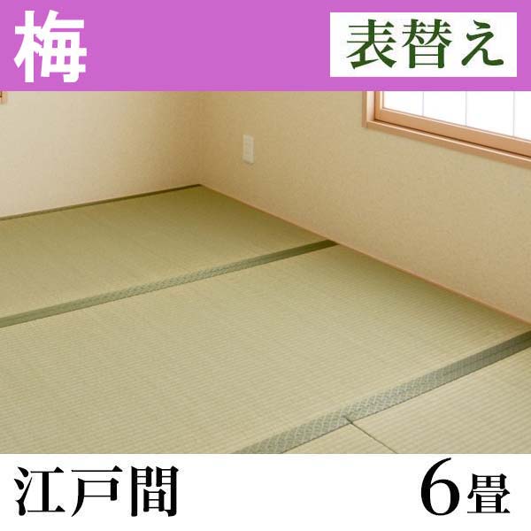イケヒコ・コーポレーション　国産い草畳「梅」　表替え　(6畳-五八間（江戸間）)