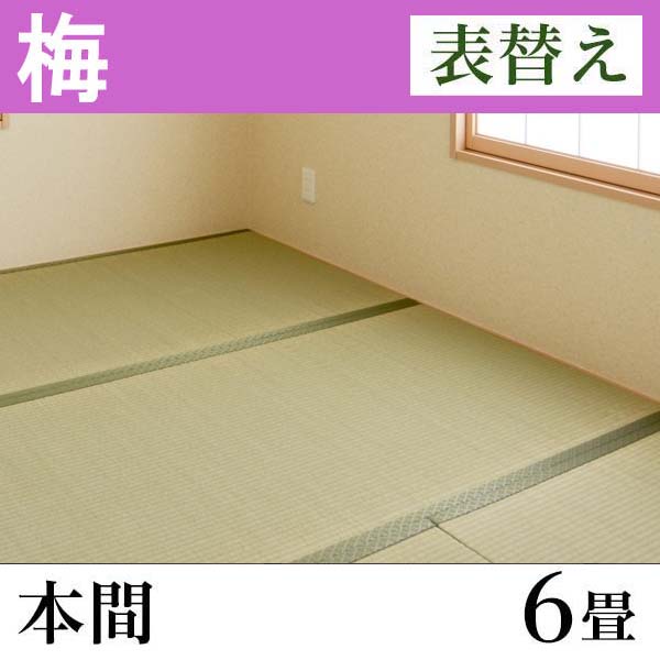 イケヒコ・コーポレーション　国産い草畳「梅」　表替え　(6畳-本間)