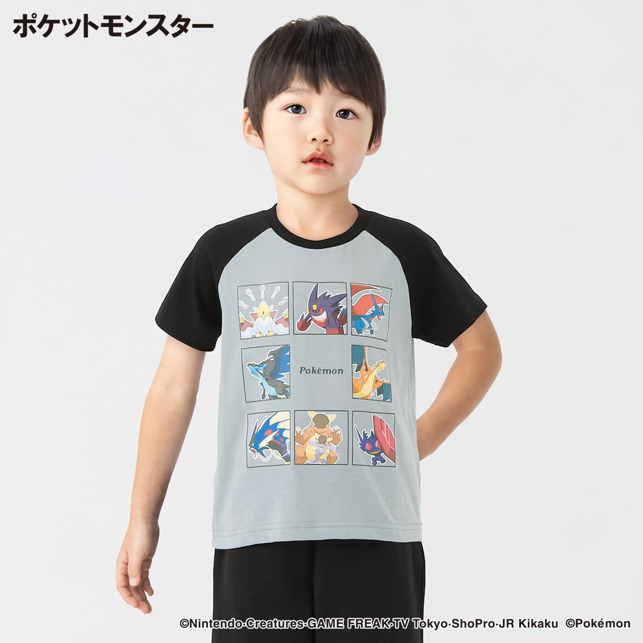 ポケットモンスター 天竺メガシンカ集合半袖Tシャツ 男の子 キッズ 110cm-130cm(グレー-120cm)