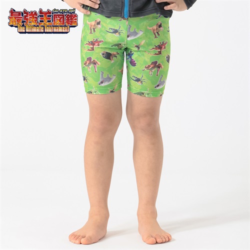 水着 最強王図鑑 ストレッチ海水パンツ 男の子 キッズ 100cm-120cm