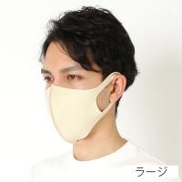 マスク 3枚入 PASTEL MASK(パステルマスク) 洗って使える３Dマスク 大人用 ラージサイズ(ウスチャ-ラージサイズ)