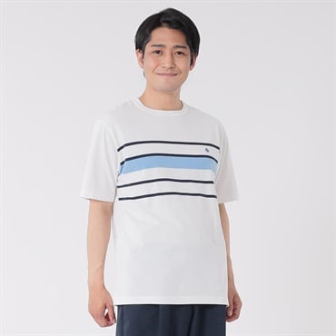 POLO BRITISH COUNTRY SPIRIT(ポロ・ビーシーエス) パネルボーダーTシャツ メンズ