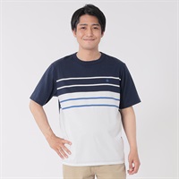 POLO BRITISH COUNTRY SPIRIT(ポロ・ビーシーエス) パネルボーダーTシャツ メンズ