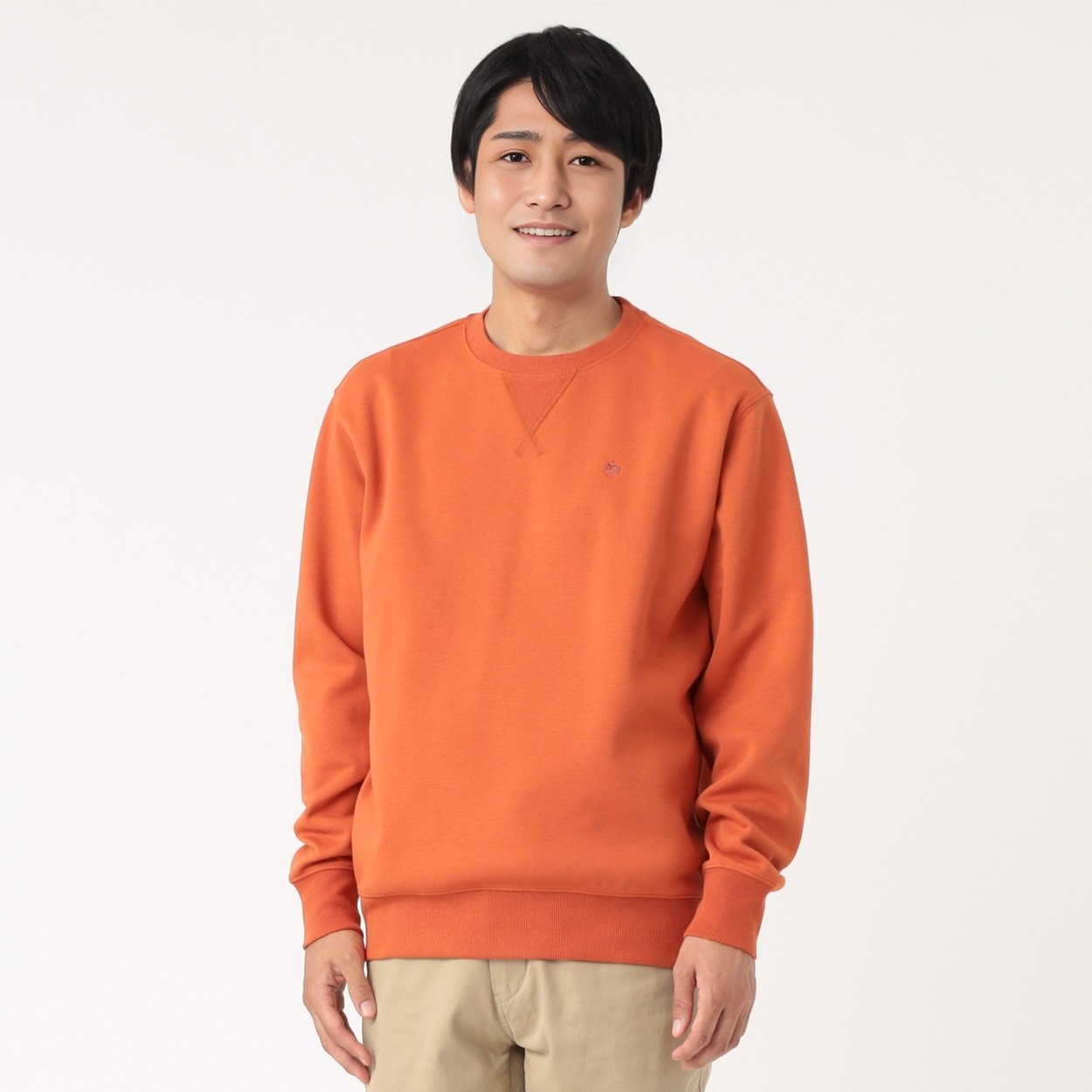 POLO BRITISH COUNTRY SPIRIT(ポロ・ビーシーエス) POLO BCS 鹿の子WF