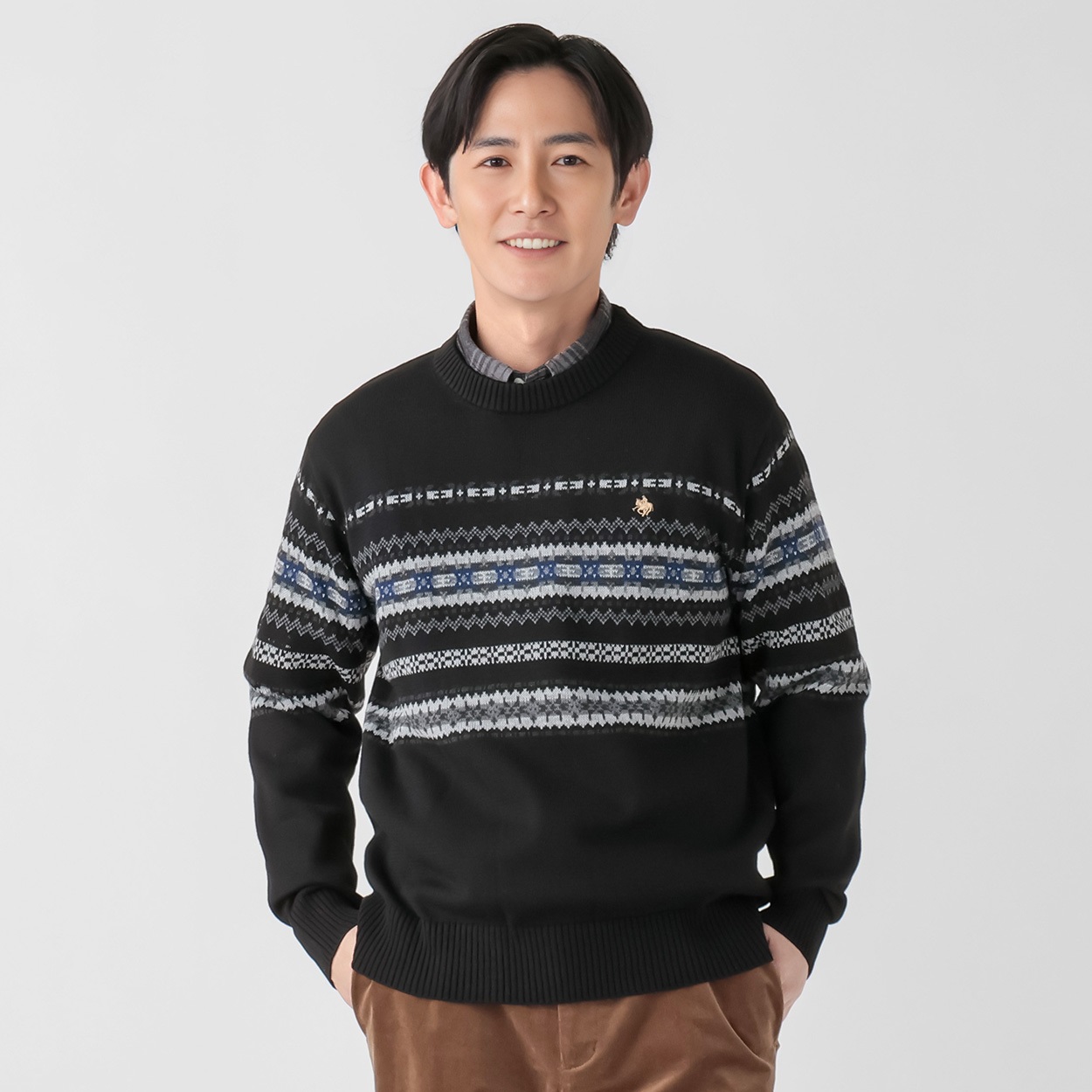 POLO BRITISH COUNTRY SPIRIT(ポロ・ビーシーエス) POLO BCS パネル