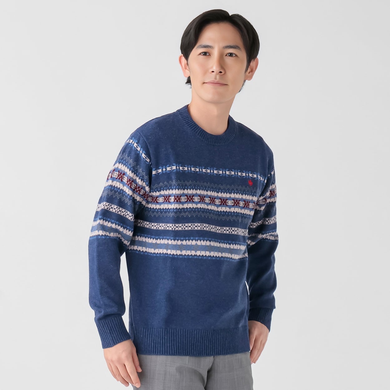 POLO BRITISH COUNTRY SPIRIT(ポロ・ビーシーエス) POLO BCS パネル