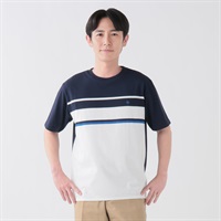 POLO BCS パネルボーダーTシャツ メンズ(コイアオ-M)
