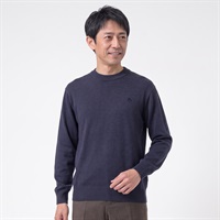 POLO BCS 天竺クルーセーター メンズ(コイアオ-M)