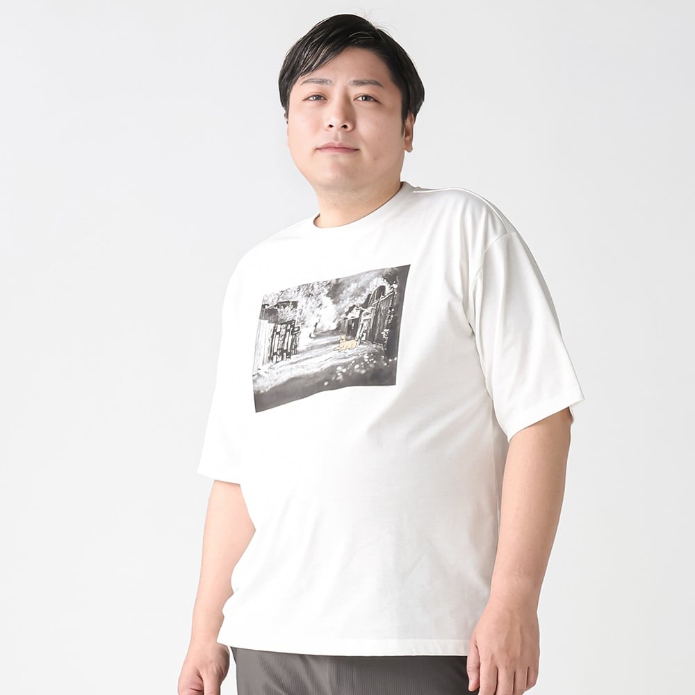大きいサイズ 半袖刺繍プリントTシャツ メンズ GREATESS(グレイテス)(Ａシロ-4L)