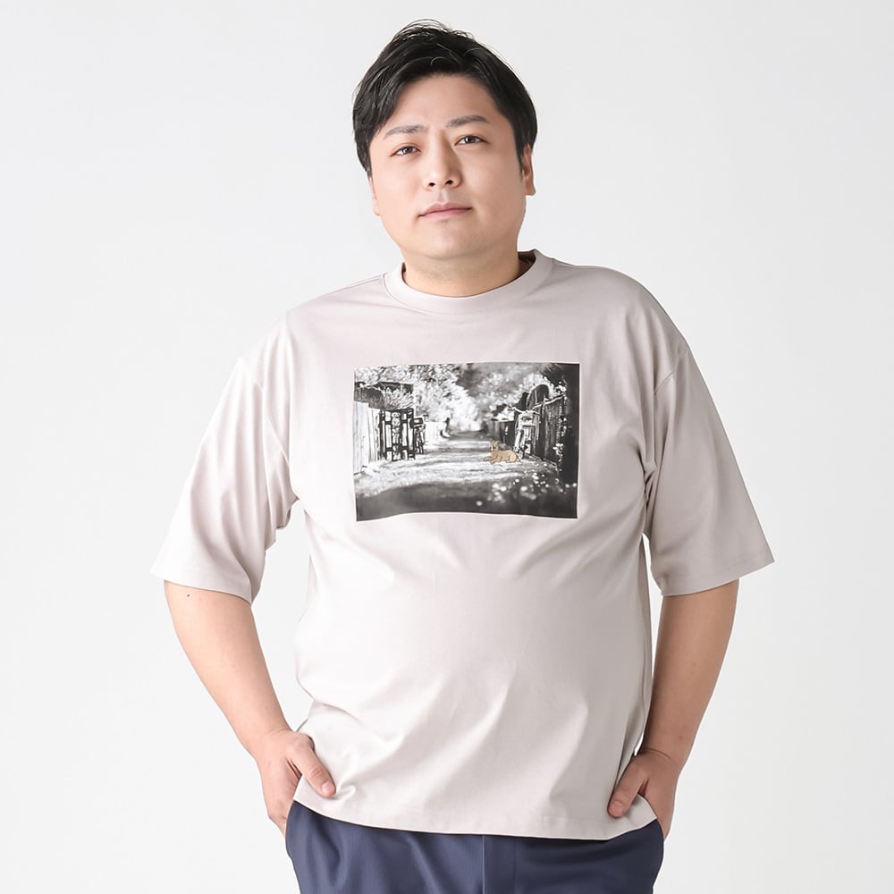 大きいサイズ 半袖刺繍プリントTシャツ メンズ GREATESS(グレイテス)(ウスクロ-4L)