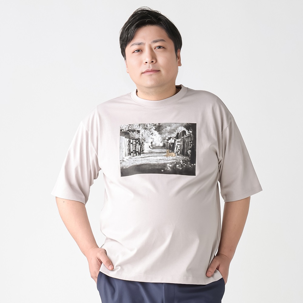 大きいサイズ 半袖刺繍プリントTシャツ メンズ GREATESS(グレイテス)(ウスクロ-2L)