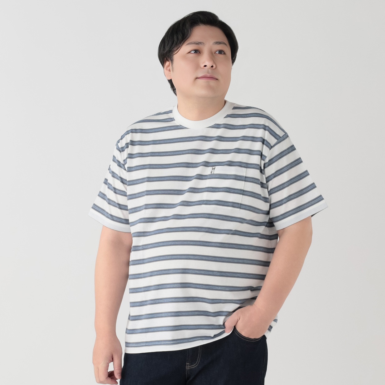 大きいサイズ MACBETH（マクベス）接触冷感ボーダーTシャツ メンズ GREATESS(グレイテス)(シロ-5L)