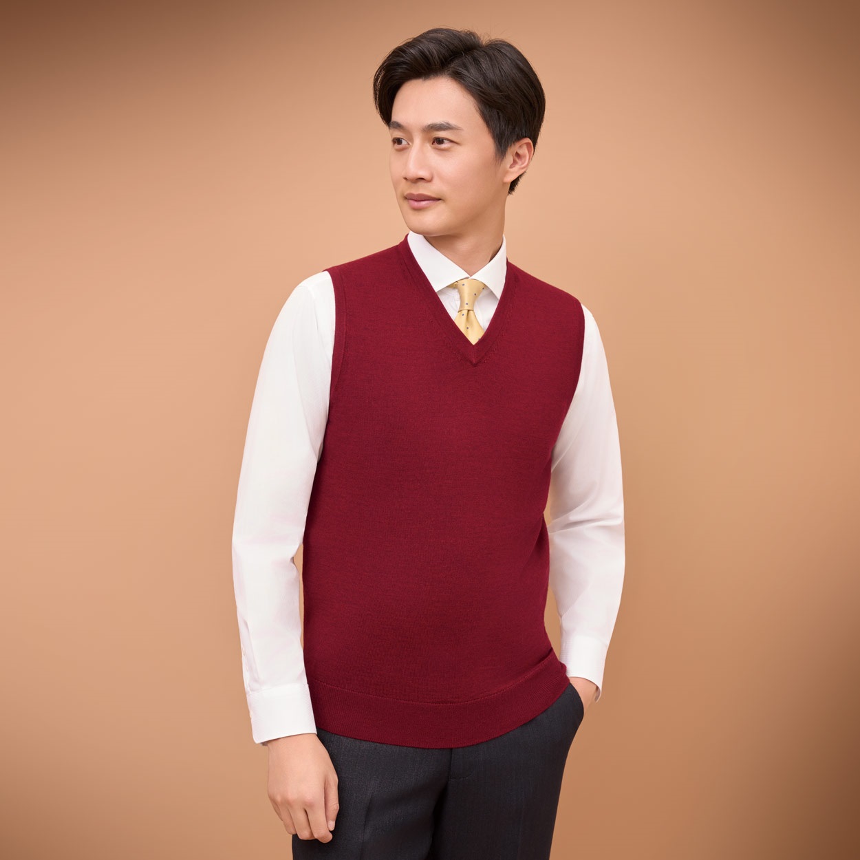 トップバリュ(TOPVALU) Vベスト メンズ | イオンスタイルオンライン