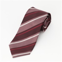 トップバリュ(TOPVALU) はっ水加工ネクタイ メンズ(Ａアカ-フリー)