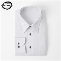 形態安定長袖ドレスシャツ レギュラーカラー レギュラーフィット メンズ  トップバリュベストプライス (TOPVALU BESTPRICE ） (ウスクロ-39-80)
