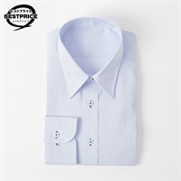 形態安定長袖ドレスシャツ レギュラーカラー レギュラーフィット メンズ  トップバリュベストプライス (TOPVALU BESTPRICE ） (ウスアオ-39-80)