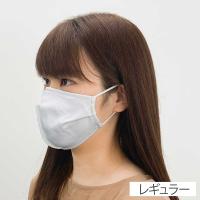 マスク Active Sports Mask！ アクティブスポーツマスク　ずれにくい スポーツにも最適 1枚入り(グレー-レギュラー)
