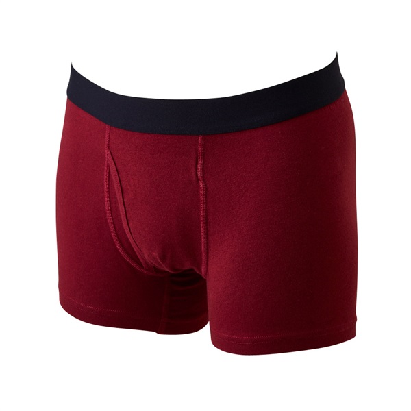 普通丈ゴムオンカラーボクサーブリーフ(前あき） メンズ | イオン