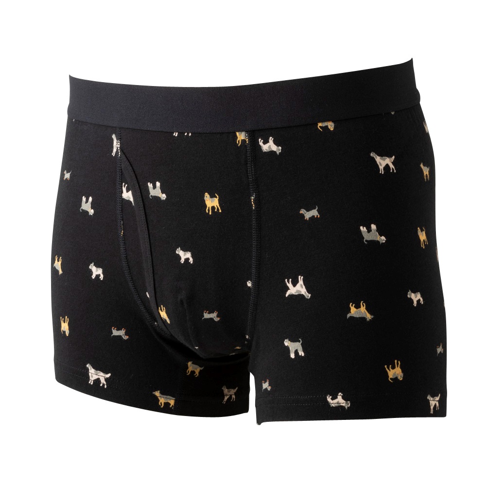 イヌ出品 普通丈イヌ柄プリントボクサーブリーフ(前あき） メンズ | イオン