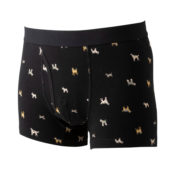 普通丈イヌ柄プリントボクサーブリーフ(前あき） メンズ | イオン