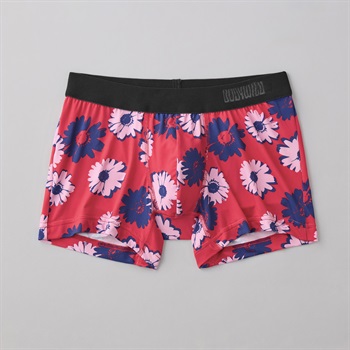 BODY WILD(ボディワイルド) ボクサーパンツ 前とじ ベア天竺 ポップ