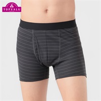 PEACE FIT COOLメッシュ前開きレギュラーボクサー(ボーダー) メンズ トップバリュ PEACE FIT(ピースフィット)(チャコ－ルグレ－-M)