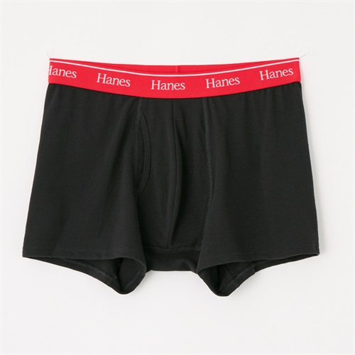 Hanes COTTON MESH ボクサーブリーフ メンズ