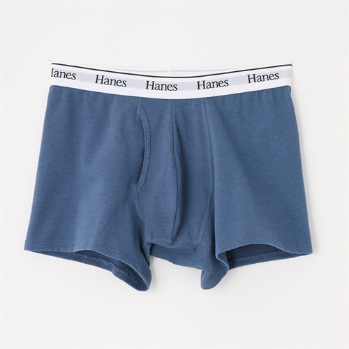 Hanes COTTON MESH ボクサーブリーフ メンズ(アオ-M)