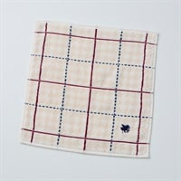 POLO BCS タオルハンカチ 格子 メンズ | イオンスタイルオンライン