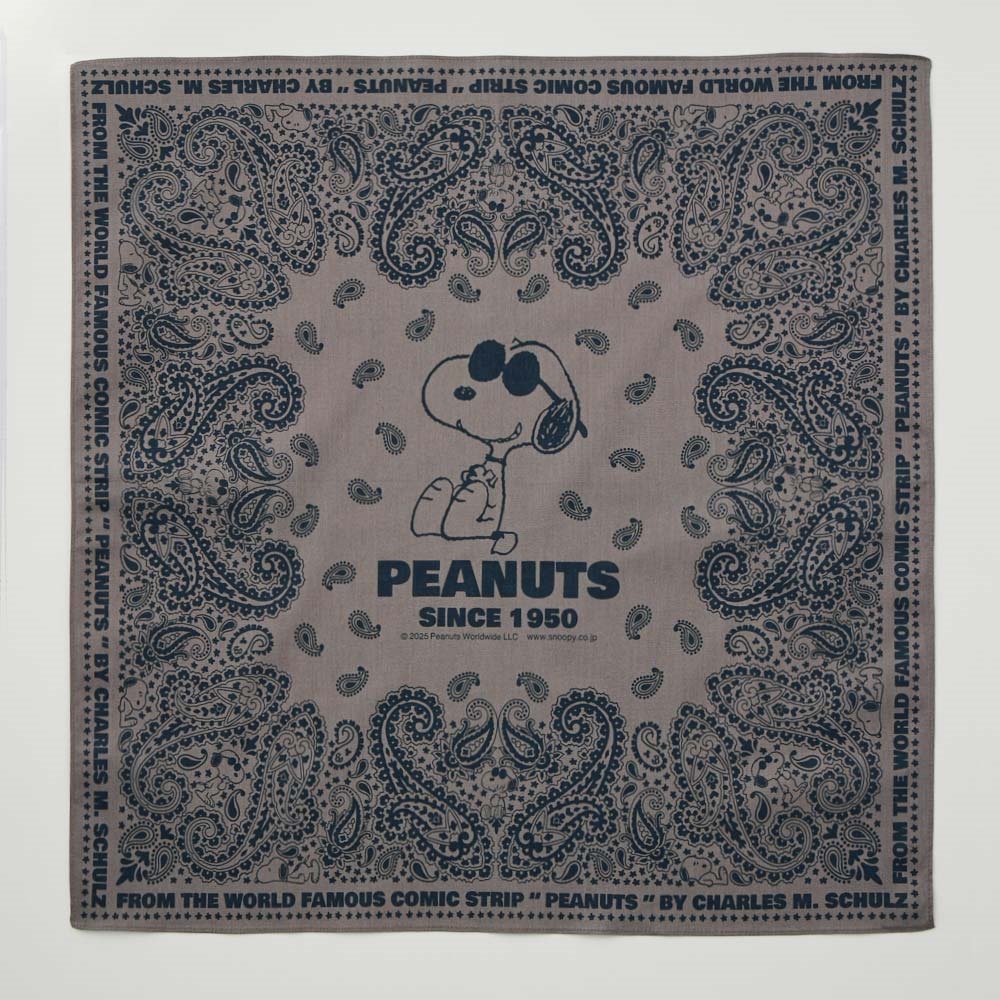 SNOOPY - ぱんぱんパンダ Amazon.co.jp: MIZUNO(ミズノ) 日傘 -20 アンブレラ ピーナッツ