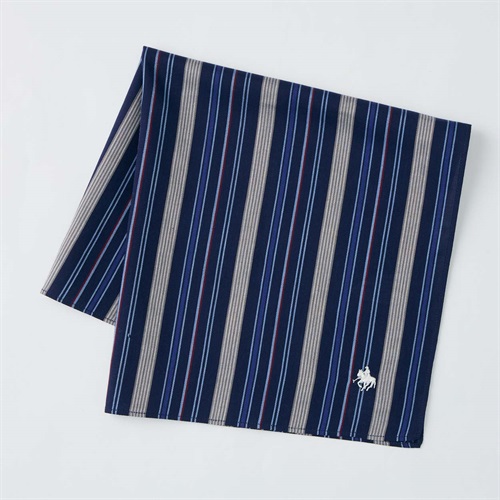 POLO BRITISH COUNTRY SPIRIT(ポロ・ビーシーエス) ストライプハンカチ5061 ユニセックス(コイアオ-フリー)