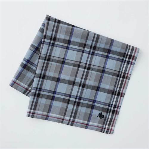 POLO BRITISH COUNTRY SPIRIT(ポロ・ビーシーエス) 箱入りハンカチ