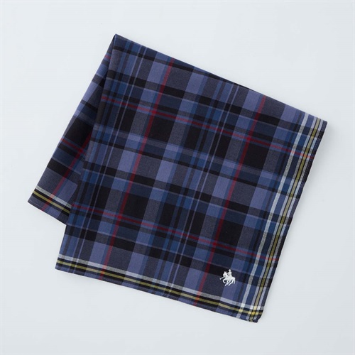 POLO BRITISH COUNTRY SPIRIT(ポロ・ビーシーエス) 箱入りハンカチ(クロ-フリー)