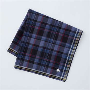 POLO BRITISH COUNTRY SPIRIT(ポロ・ビーシーエス) 箱入りハンカチ(クロ-フリー)