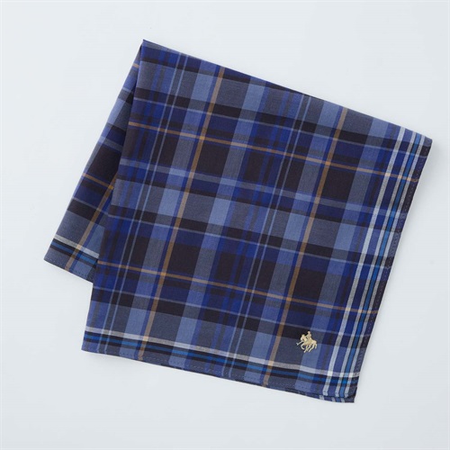 POLO BRITISH COUNTRY SPIRIT(ポロ・ビーシーエス) 箱入りハンカチ(コイアオ-フリー)